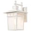 Cove Neck 1 Light 14" Outdoor Lantern w/ Clear Seed Glass