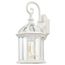 Boxwood 1 Light 15" Outdoor Wall w/ Clear Seed Glass