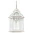 Boxwood 1 Light 19" Outdoor Wall w/ Clear Beveled Glass