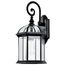 Boxwood 1 Light 19" Outdoor Wall w/ Clear Beveled Glass
