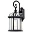 Boxwood 1 Light 19" Outdoor Wall w/ Clear Beveled Glass