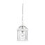 Boxwood 1 Light 14" Outdoor Hanging w/ Clear Beveled Glass