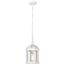 Boxwood 1 Light 14" Outdoor Hanging w/ Clear Beveled Glass