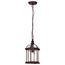Boxwood 1 Light 14" Outdoor Hanging w/ Clear Beveled Glass