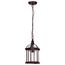 Boxwood 1 Light 14" Outdoor Hanging w/ Clear Beveled Glass