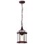Boxwood 1 Light 14" Outdoor Hanging w/ Clear Beveled Glass