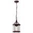 Boxwood 1 Light 14" Outdoor Hanging w/ Clear Beveled Glass