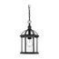 Boxwood 1 Light 14" Outdoor Hanging w/ Clear Beveled Glass