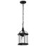 Boxwood 1 Light 14" Outdoor Hanging w/ Clear Beveled Glass