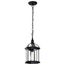 Boxwood 1 Light 14" Outdoor Hanging w/ Clear Beveled Glass