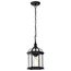 Boxwood 1 Light 14" Outdoor Hanging w/ Clear Beveled Glass