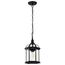 Boxwood 1 Light 14" Outdoor Hanging w/ Clear Beveled Glass