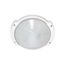 1 Light 11" Oblong Round Bulk Head Die Cast Bulk Head