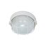 1 Light 10" Round Cage Bulk Head Die Cast Bulk Head