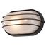 1 Light 10" Oval Cage Bulk Head Die Cast Bulk Head
