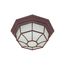 1 Light 12" Ceiling Spider Cage Fixture Die Cast Glass Lens