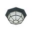 1 Light 12" Ceiling Spider Cage Fixture Die Cast Glass Lens