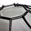 1 Light 12" Ceiling Spider Cage Fixture Die Cast Glass Lens