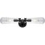 Beaker 2 Light Wall Sconce w/ Clear Glass Vintage lamps Included