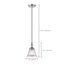 Vintage 1 Light Pendant w/ Clear Glass Vintage Lamp Included