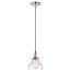 Vintage 1 Light Pendant w/ Clear Glass Vintage Lamp Included
