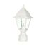 Briton 1 Light 14" Post Lantern w/ Clear Glass