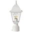 Briton 1 Light 14" Post Lantern w/ Clear Glass