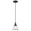 Vintage 1 Light Pendant w/ Clear Glass Vintage Lamp Included
