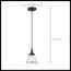Vintage 1 Light Pendant w/ Clear Glass Vintage Lamp Included