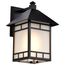 Drexel 1 light 9" Outdoor Wall Fixture w/ Frosted Seed Glass