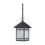 Drexel 1 light Outdoor Hanging Fixture w/ Frosted Seed Glass