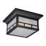 Drexel 2 light Outdoor Flush Fixture w/ Frosted Seed Glass