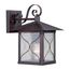 Vega 1 light 9" Outdoor Wall Fixture w/ Clear Seed Glass