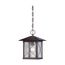 Vega 1 light Outdoor Hanging Fixture w/ Clear Seed Glass