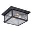 Wingate 2 light Outdoor Flush Fixture w/ Clear Seed Glass