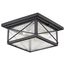 Wingate 2 light Outdoor Flush Fixture w/ Clear Seed Glass