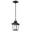 Jasper Collection Outdoor 12 inch Hanging Light Matte Black Finish w/ Clear Glass