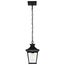 Jasper Collection Outdoor 12 inch Hanging Light Matte Black Finish w/ Clear Glass