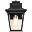 Jasper Collection Outdoor 11 inch Wall Light Matte Black Finish w/ Clear Glass