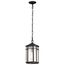 Raiden Collection Outdoor 14.5 inch Hanging Light Matte Black Finish w/ Clear Seedy Glass