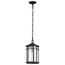Raiden Collection Outdoor 14.5 inch Hanging Light Matte Black Finish w/ Clear Seedy Glass
