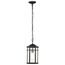 Raiden Collection Outdoor 14.5 inch Hanging Light Matte Black Finish w/ Clear Seedy Glass