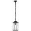 Raiden Collection Outdoor 14.5 inch Hanging Light Matte Black Finish w/ Clear Seedy Glass