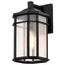 Raiden Collection Outdoor 14 inch Wall Light Matte Black Finish w/ Clear Seedy Glass