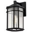 Raiden Collection Outdoor 14 inch Wall Light Matte Black Finish w/ Clear Seedy Glass