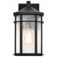 Raiden Collection Outdoor 14 inch Wall Light Matte Black Finish w/ Clear Seedy Glass
