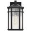 Raiden Collection Outdoor 14 inch Wall Light Matte Black Finish w/ Clear Seedy Glass