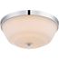 Willow 2 Light Flush Fixture w/ White Glass