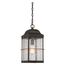 Howell 1 Light Outdoor Hanging Lantern w/ 60W Vintage Lamp Included Bronze w/ Copper Accents Finish