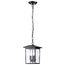 Jamesport Collection Outdoor 11 inch Hanging Light Matte Black w/ Clear Glass